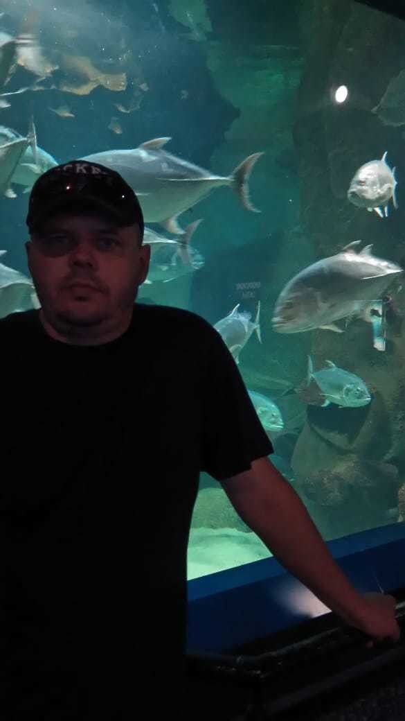 ���� 18452570 ������� �������, 44 ����, ���� ���������� � ����������