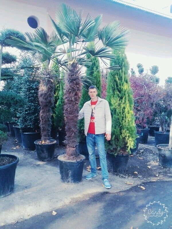  ,   Konstantin, 36 ,   ,   , c 