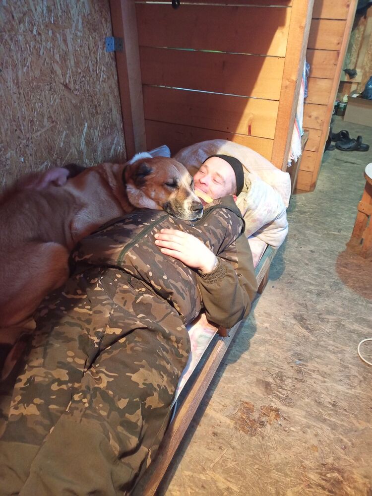 ���������� �����, ���� ������� ������, 36 ���, ������������ ��� ������, ����� � ���������