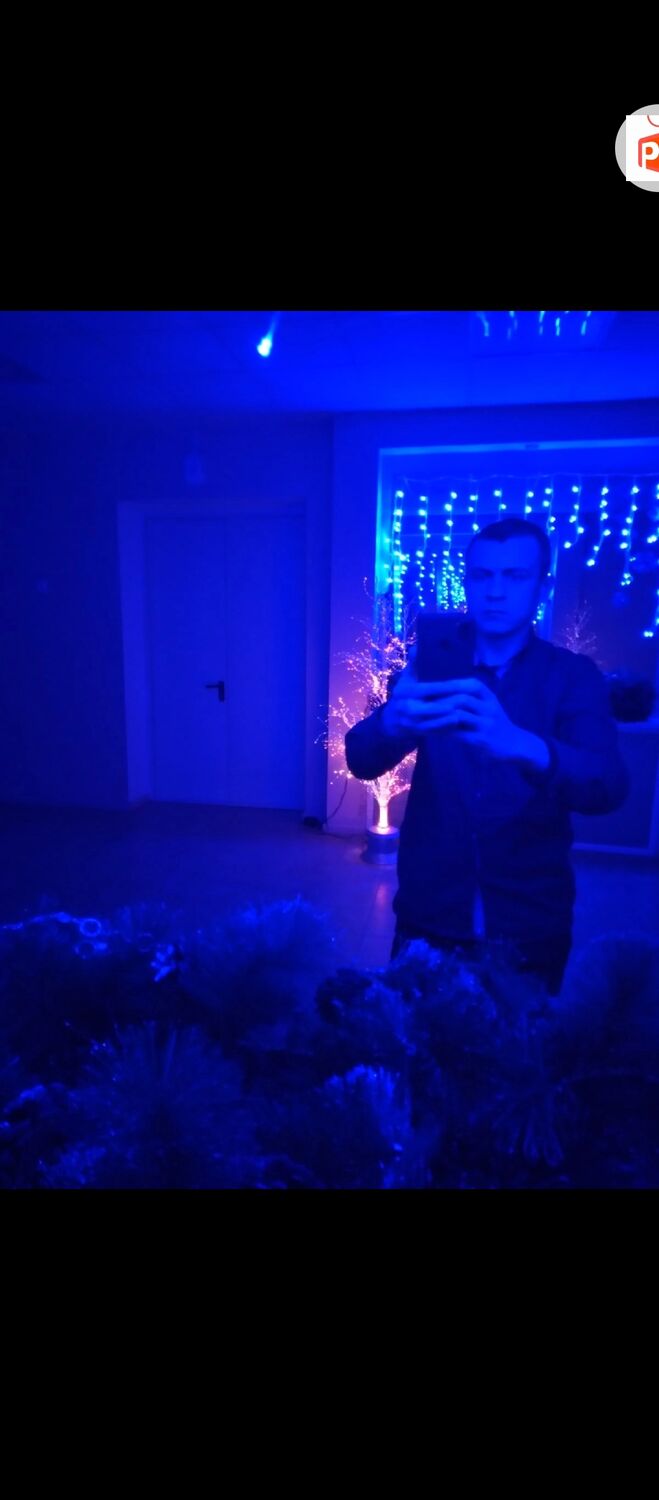 ���� 43173560 ������� ������, 37 ���, ���� ���������� � �������-��-����