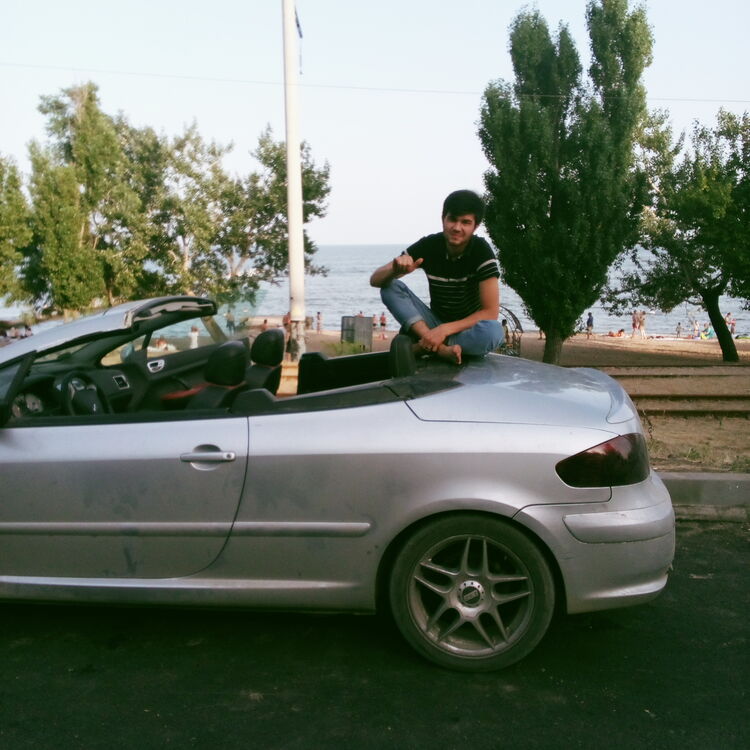  37382470  , 27 ,    