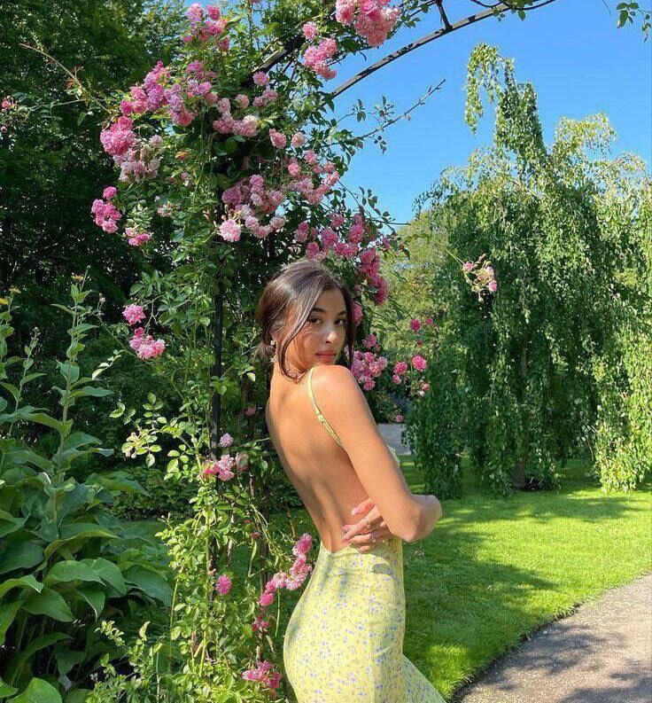 ���������� ������, ���� ������� Snova, 23 ����, ������������ ��� ������, ����� � ���������