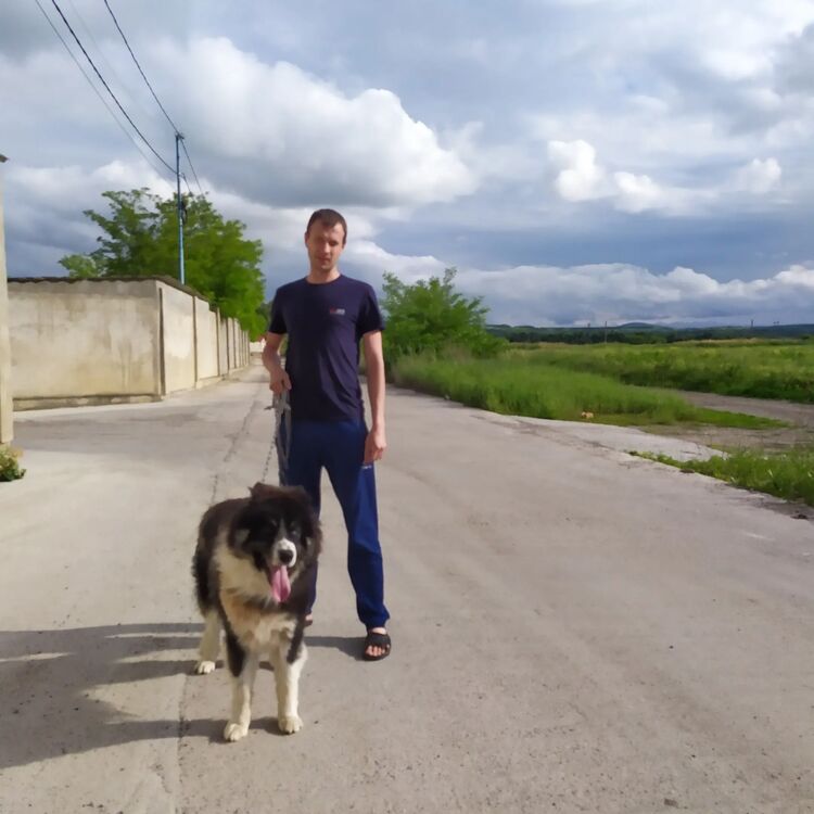 ���� 26595440 ������� Nikolay, 33 ����, ���� ���������� � ������