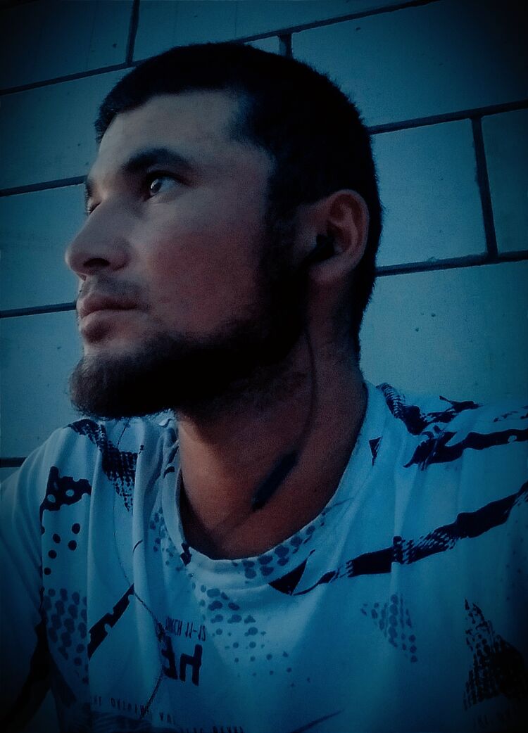  44510020  , 45 ,    