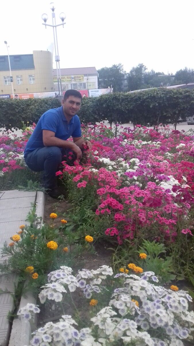  ,   Wamil, 37 ,   ,   , c 