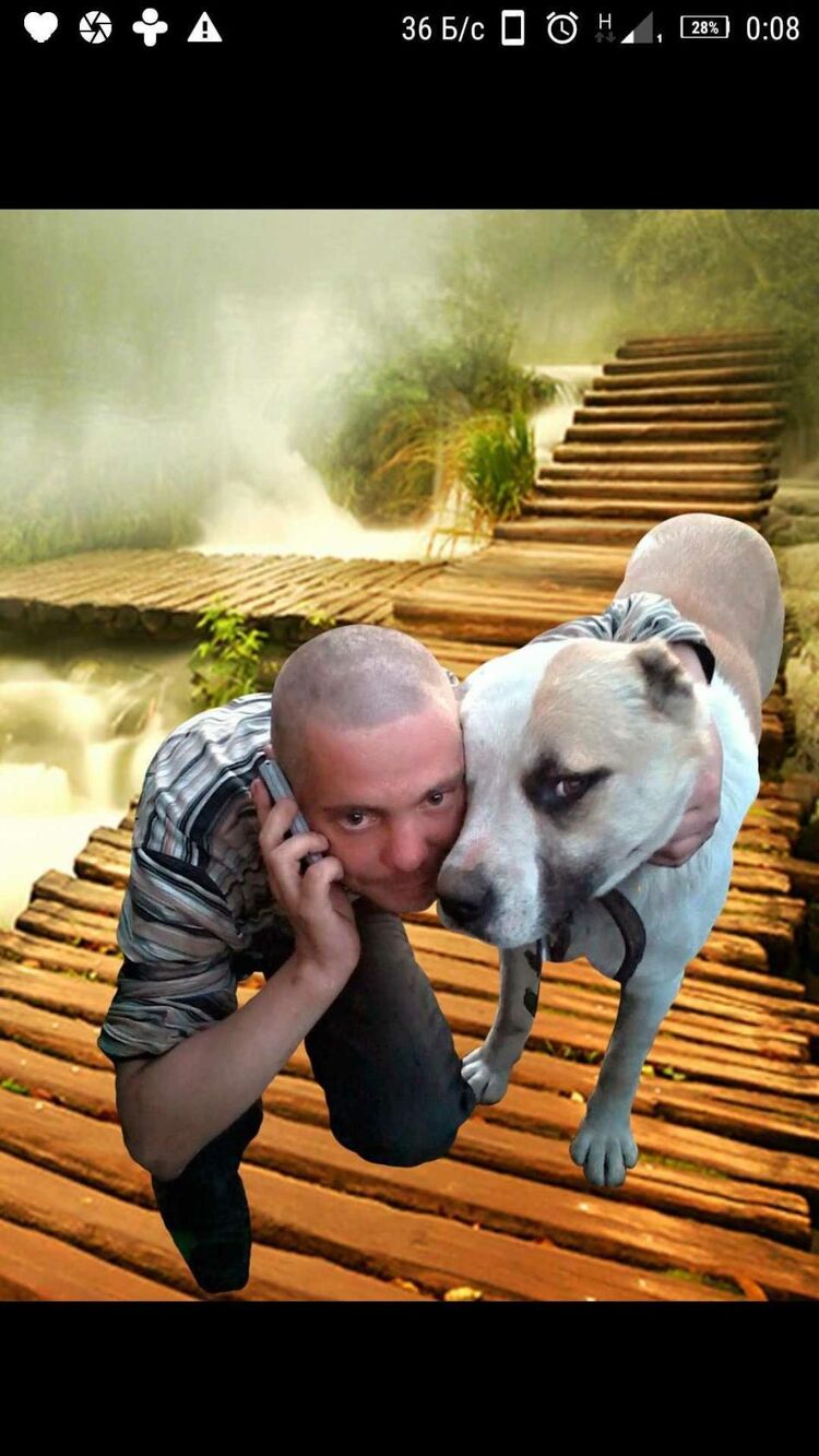 ���� 24864980 ������� ����, 38 ���, ���� ���������� � ��������