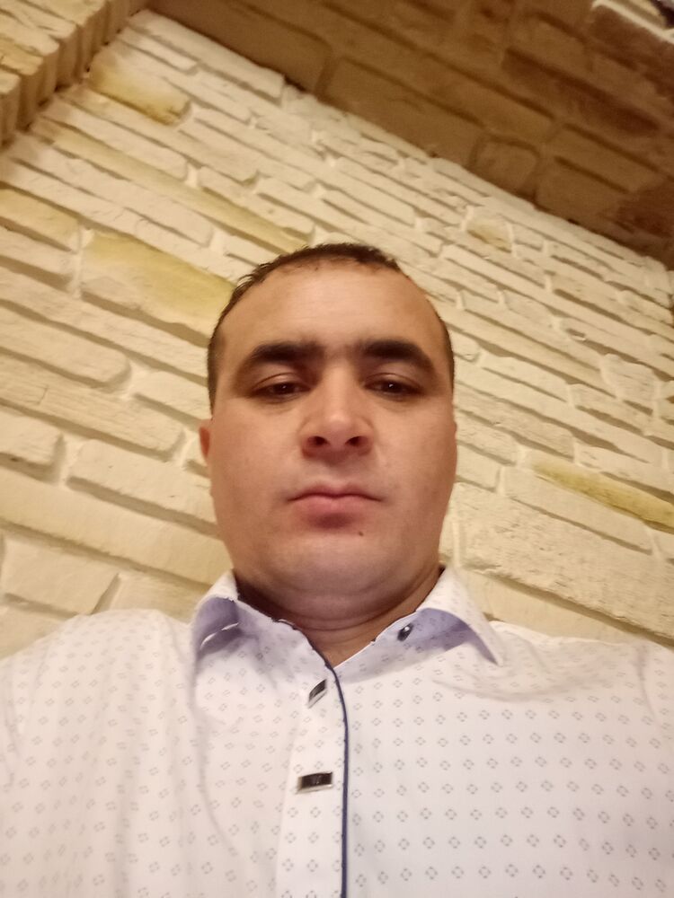  33696490  , 38 ,    