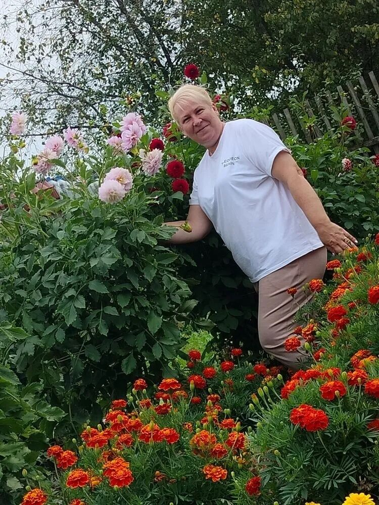 ���� 55137330 ������� ��������, 57 ���, ���� ���������� � ������