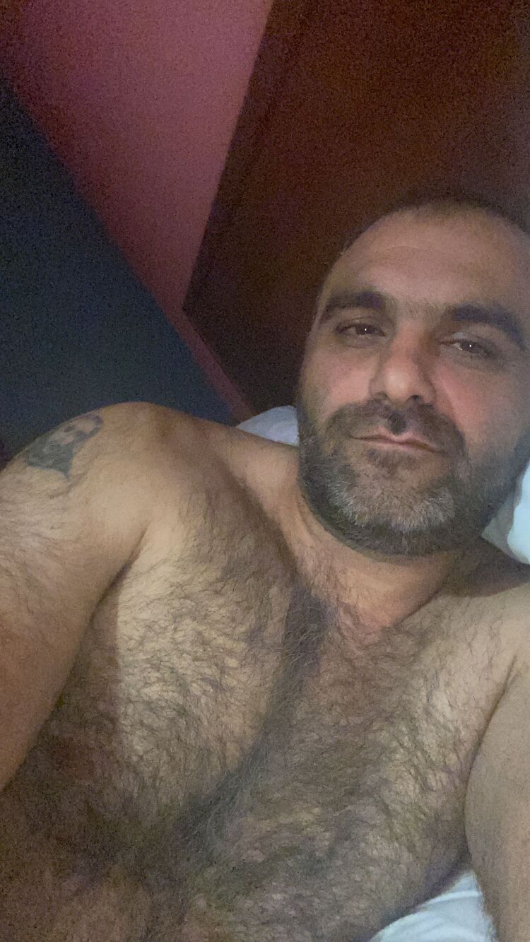  44497490  , 43 ,    