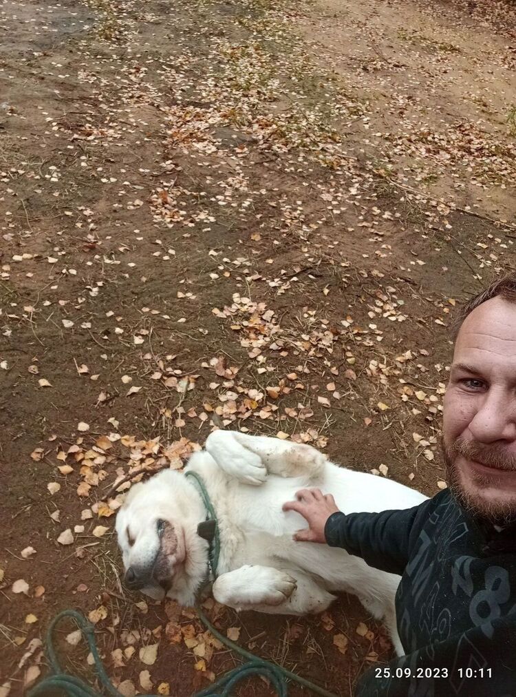 ���� 39603220 ������� �������, 41 ���, ���� ���������� � ������