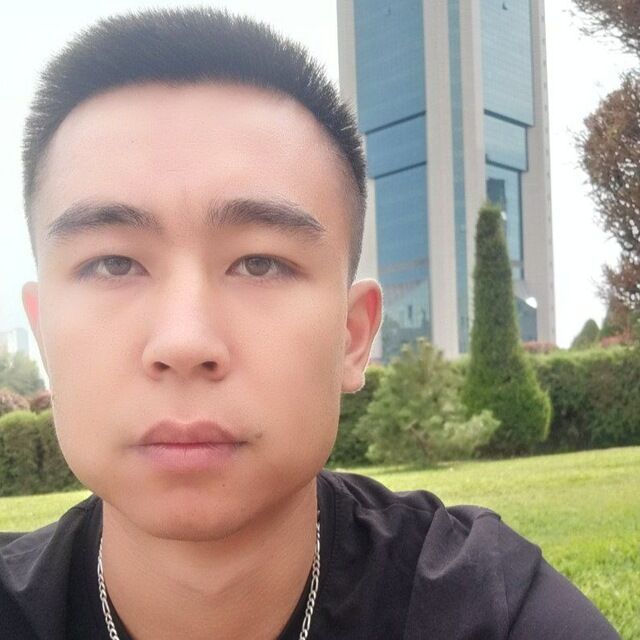  34295550  , 31 ,    