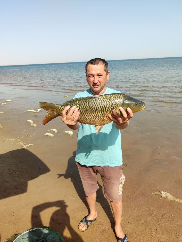  36964070  Ermek, 49 ,    