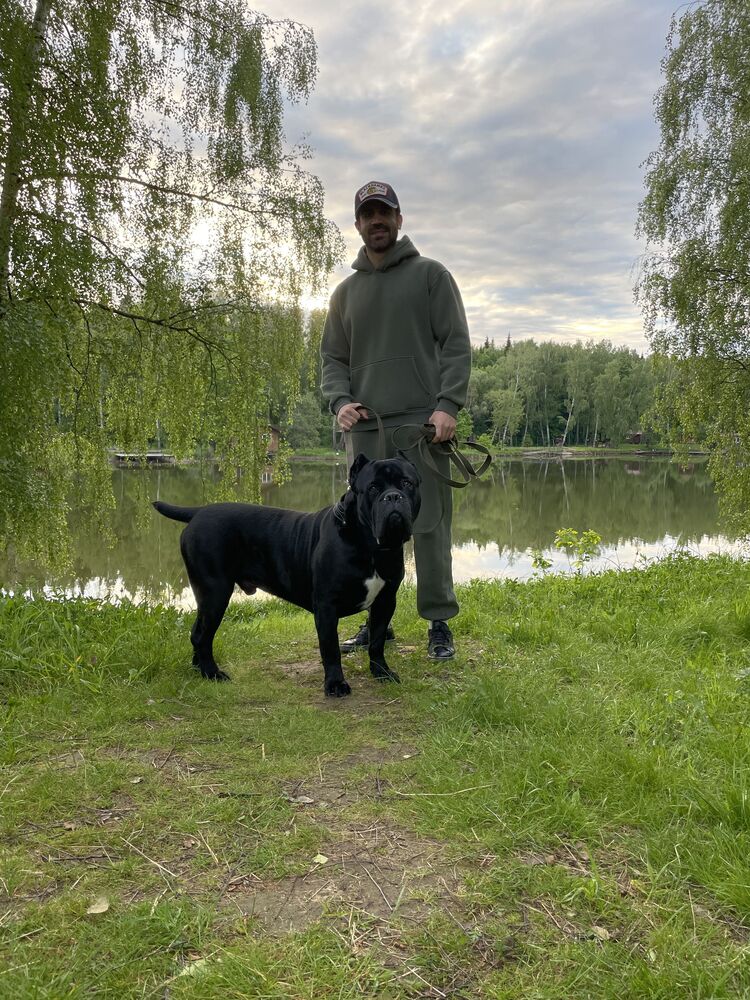 ���� 35357350 ������� Fardin, 32 ����, ���� ���������� � ������