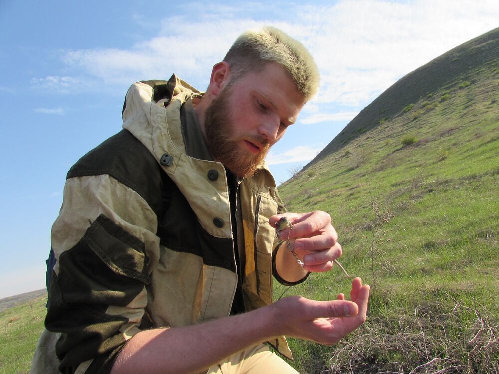 ���������� �������, ���� ������� ������, 28 ���, ������������ ��� ������