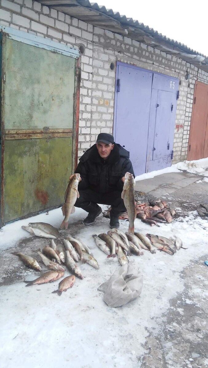 ���������� ���������, ���� ������� A����, 43 ����, ������������ 