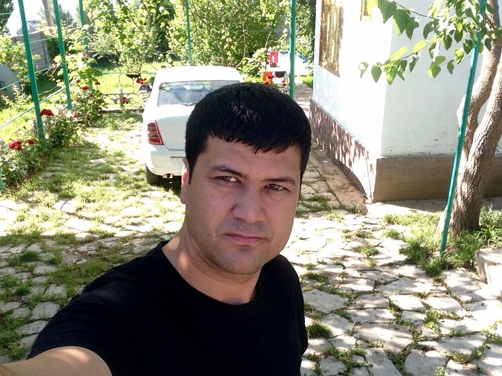  8007710  977872712, 37 ,    