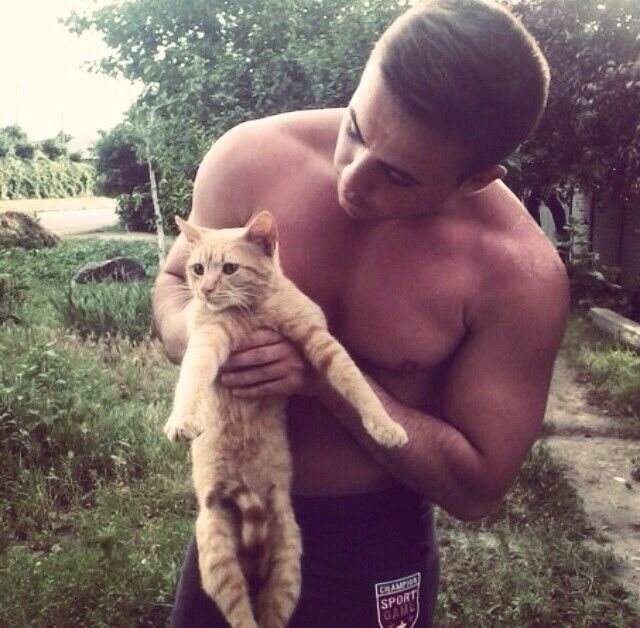 ���� 5308600 ������� ����, 33 ����, ���� ���������� � �������