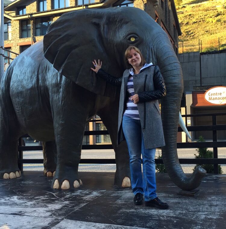 ���������� �����, ���� ������� �����, 52 ����, ������������ ��� ������, ����� � ���������, c�������� ���������