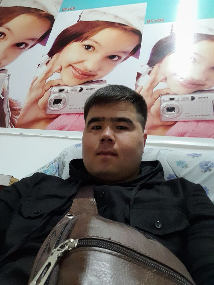  28560450  , 31 ,    