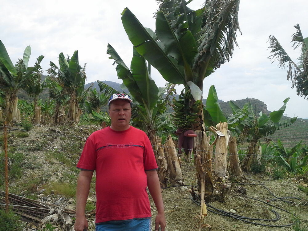  8602490  Oleg, 47 ,    