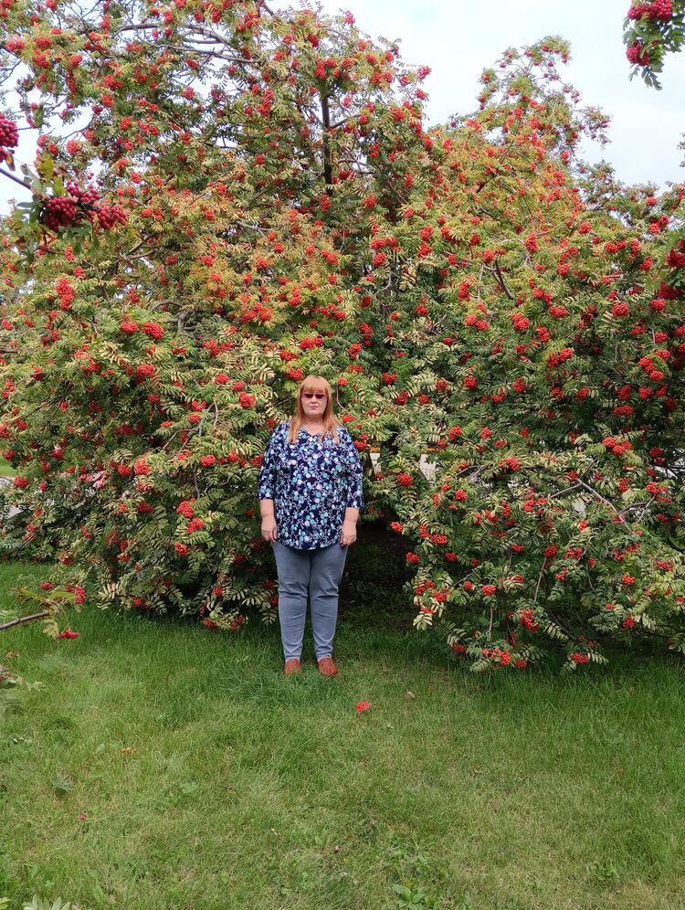 ���������� ���������, ���� ������� �����, 47 ���, ������������ ��� ����� � ���������, c�������� ���������