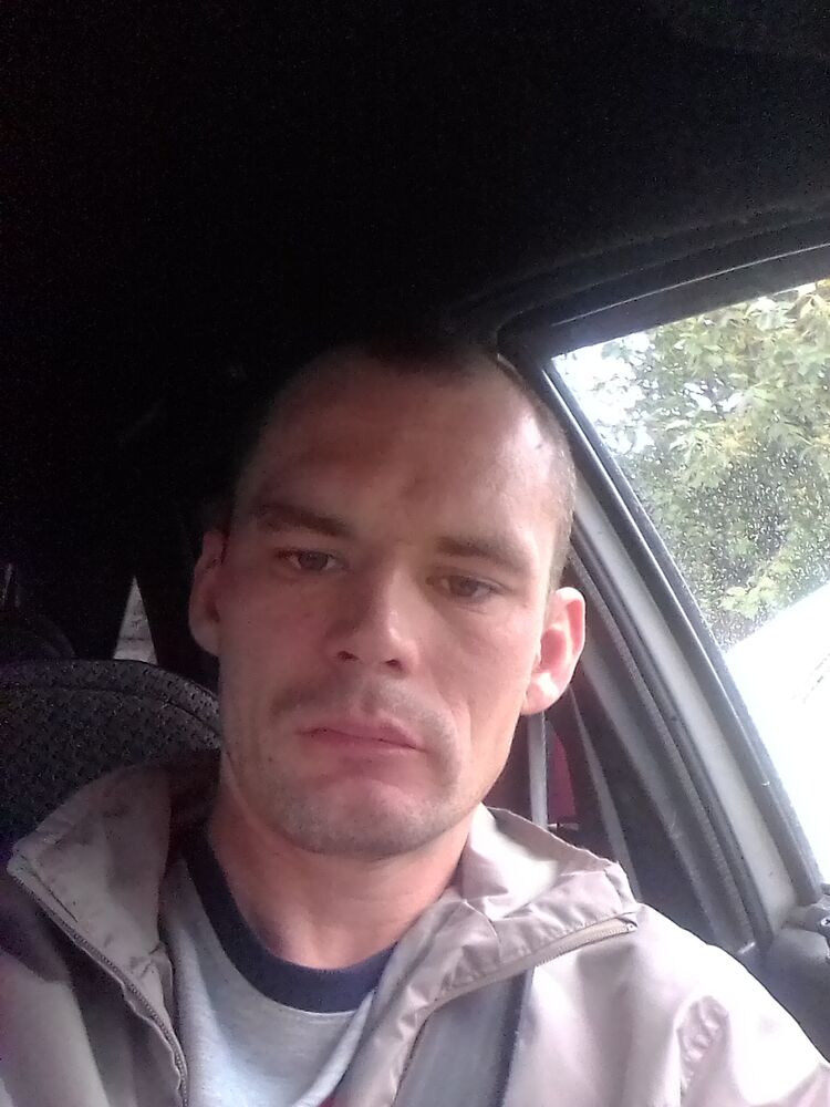  29416050  , 40 ,     