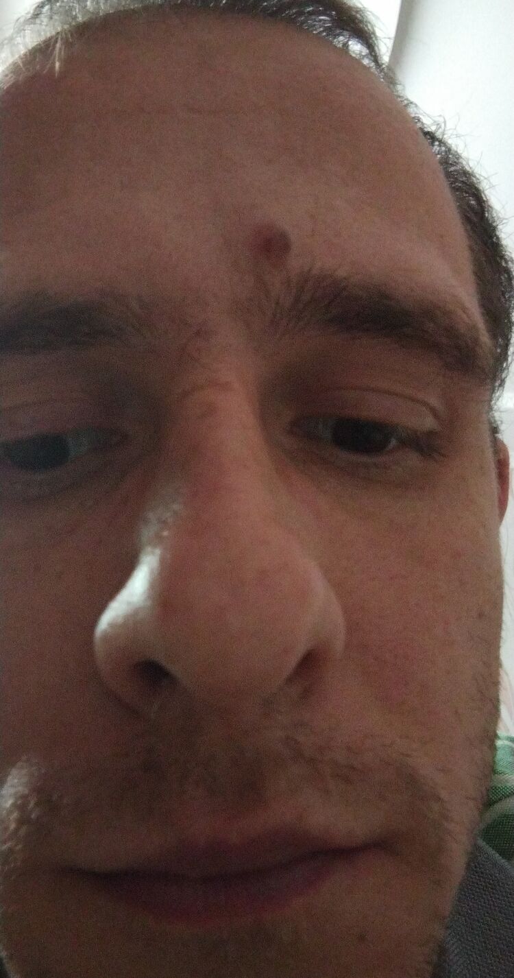 ���� 25044670 ������� ������, 31 ���, ���� ���������� � ����������