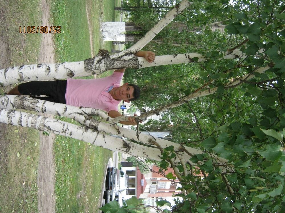 ���������� ������, ���� ������� �����, 42 ����, ������������ ��� ������, ����� � ���������, c�������� ���������, ���������