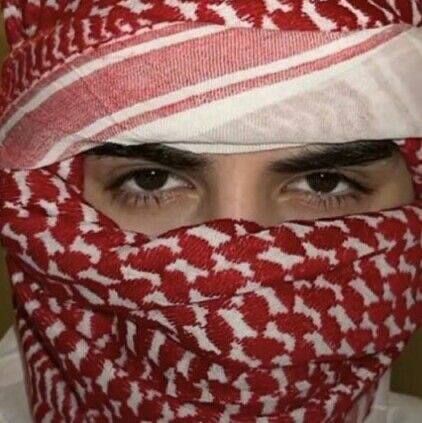 ���� 43373220 ������� Diyorbek, 29 ���, ���� ���������� � ������