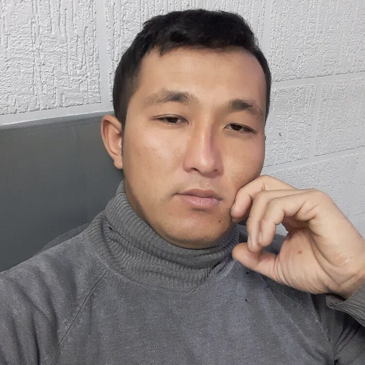 ���� 19549280 ������� Doston, 31 ���, ���� ���������� � ���������