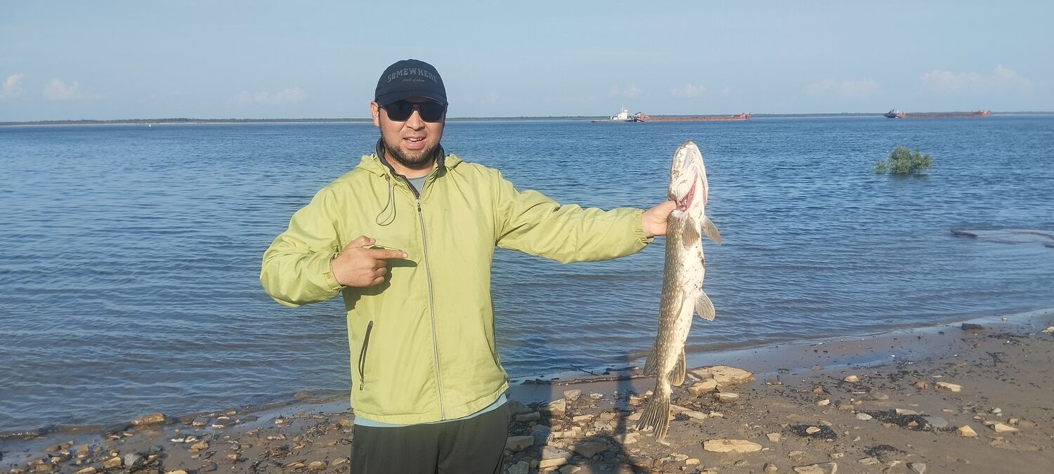  53150730  Takero, 37 ,    