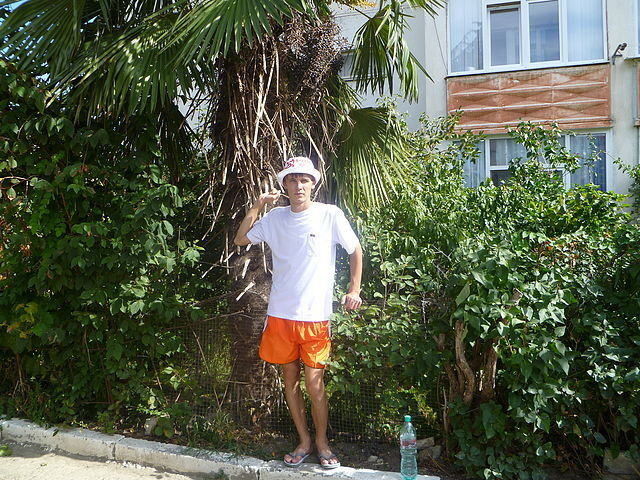 ���� 17740080 ������� Denis, 39 ���, ���� ���������� � ��������