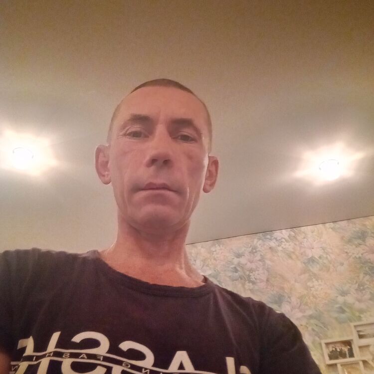  41328890  , 43 ,    