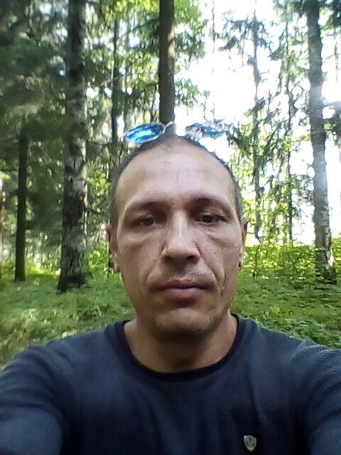  -,   , 51 ,   ,   , c 