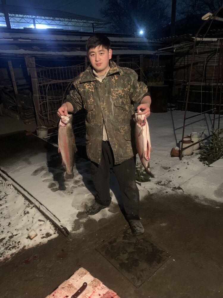 ���������� ������, ���� ����� �����, 21 ���, ������������ ��� ������, ����� � ���������, c�������� ���������, ���������