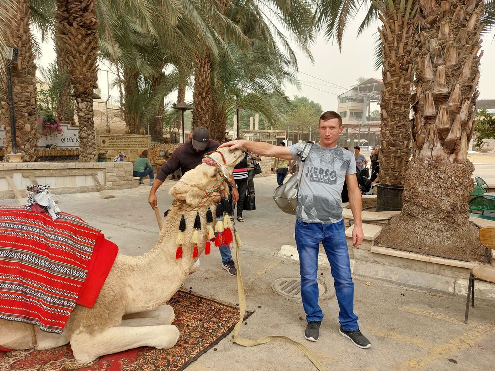  54606940  Nicolae, 43 ,    