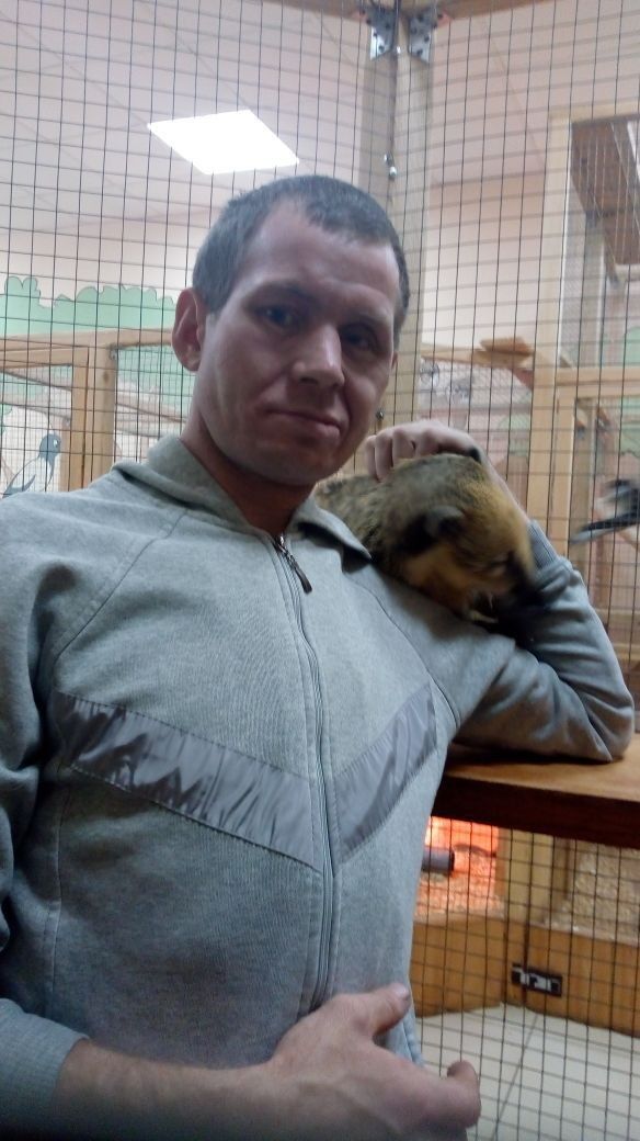 ���������� �������, ���� ������� ������, 39 ���, ������������ ��� ����� � ���������, c�������� ���������