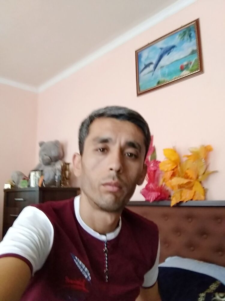  17633940  Umid, 41 ,    