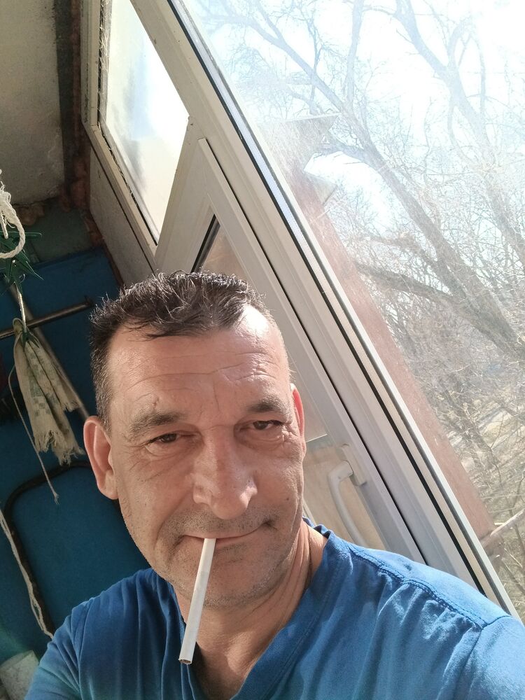  41771490  , 55 ,    
