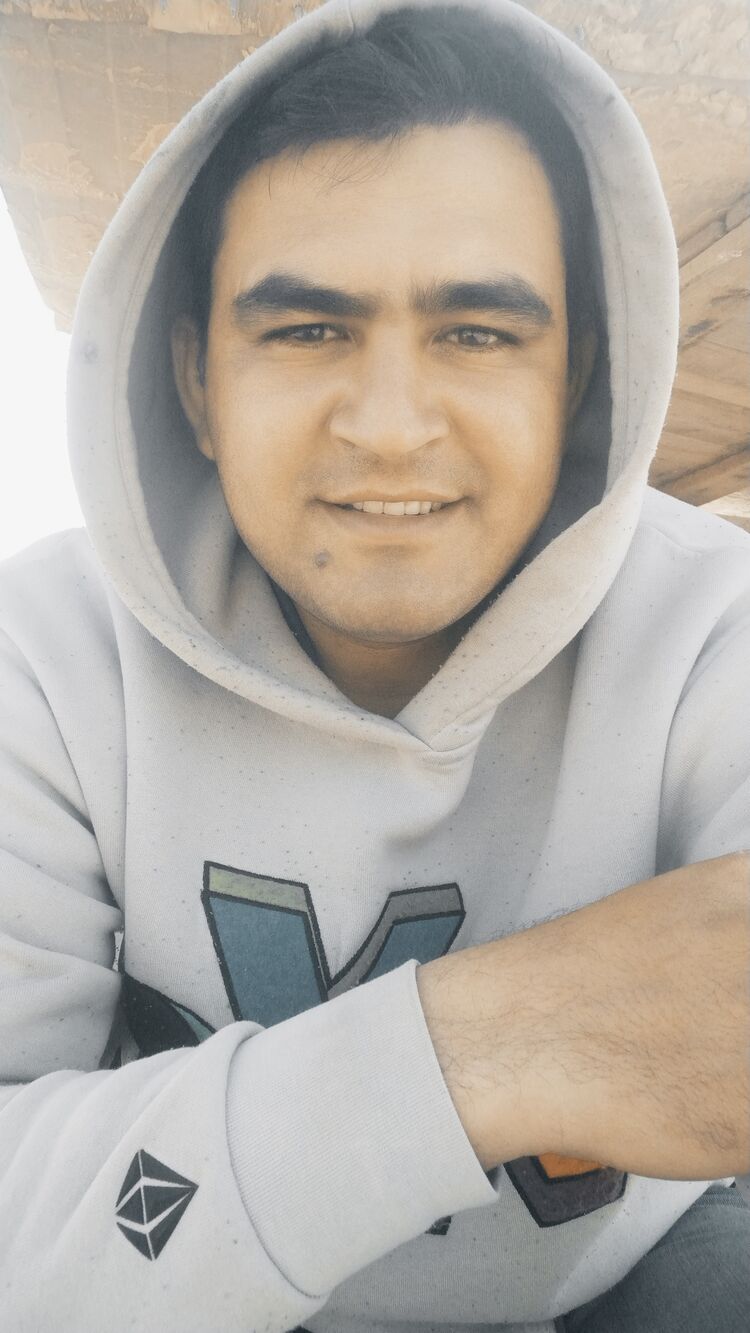  51366870  , 29 ,    