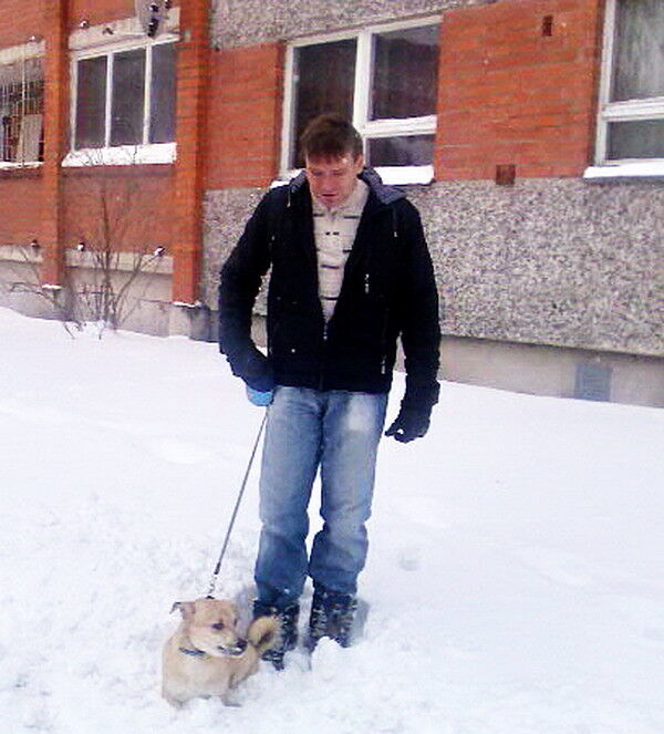 ���������� ����, ���� ������� Salaris, 56 ���, ������������ ��� ����� � ���������, c�������� ���������