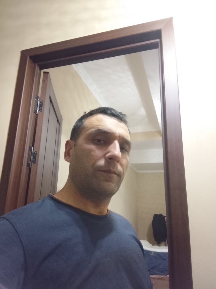  51539560  , 33 ,    