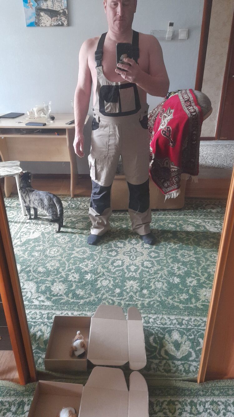  47183720  , 43 ,    