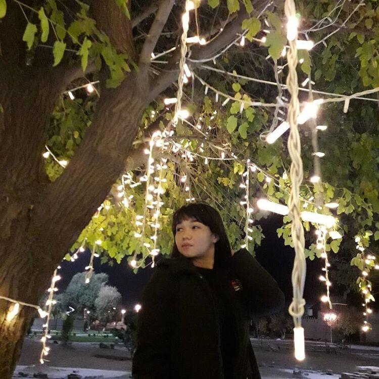 ���� 19479350 ������� ������, 24 ����, ���� ���������� � ������