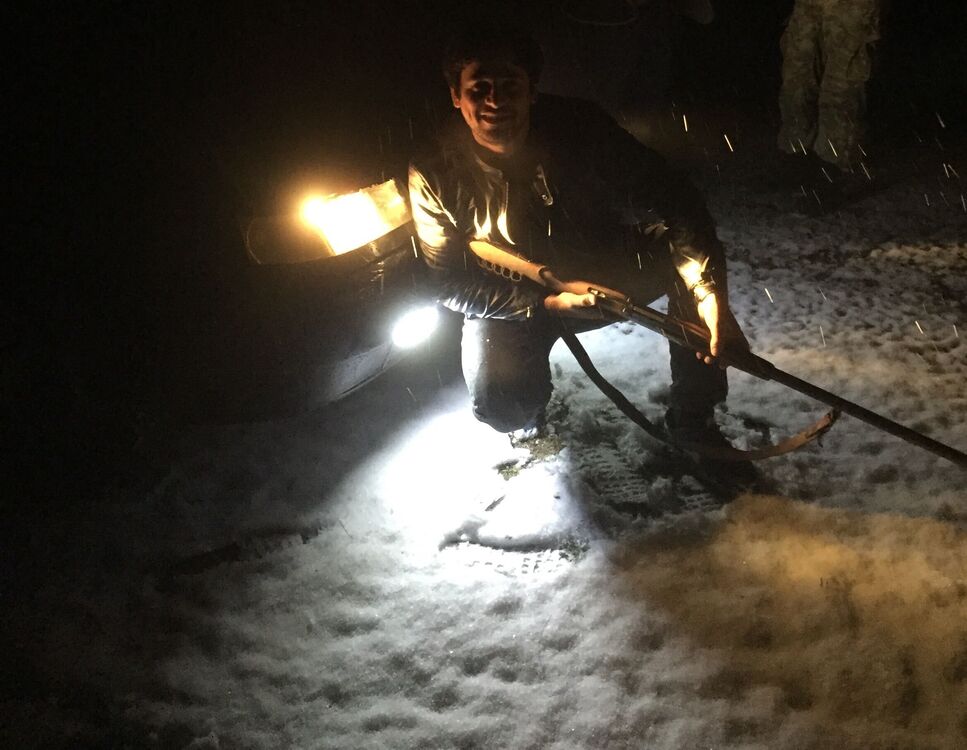 ���� 24706650 ������� Hovo, 34 ����, ���� ���������� � �������