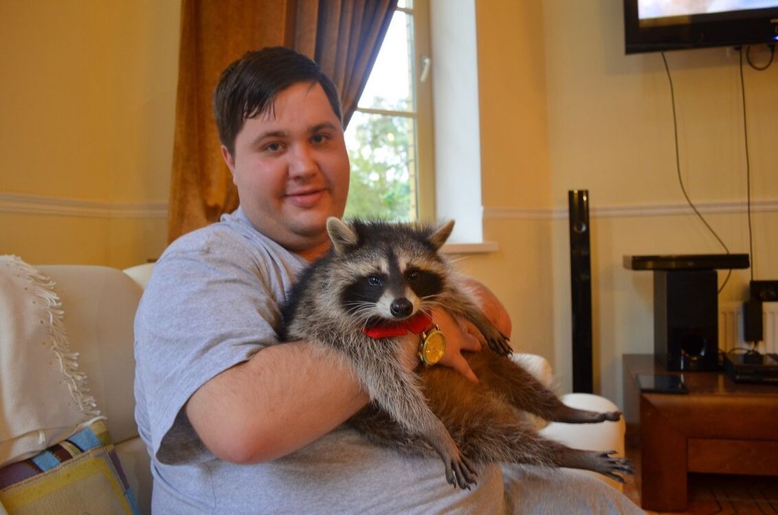 ���������� �����-���������, ���� ������� ������, 34 ����, ������������ ��� ������, ����� � ���������, c�������� ���������