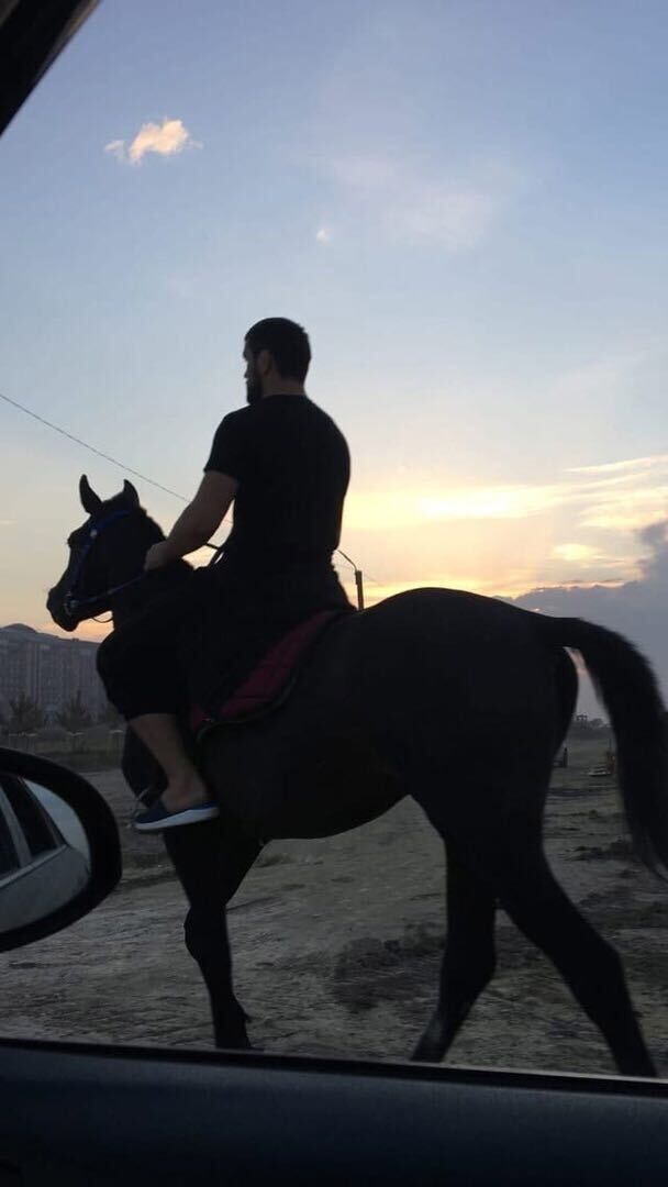  ,   Xander, 31 ,   ,   