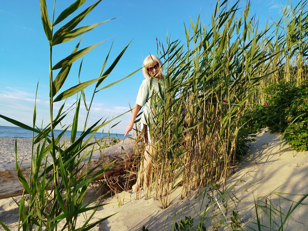 ���������� �����������, ���� ������� �����, 53 ����, ������������ ��� ����� � ���������, c�������� ���������