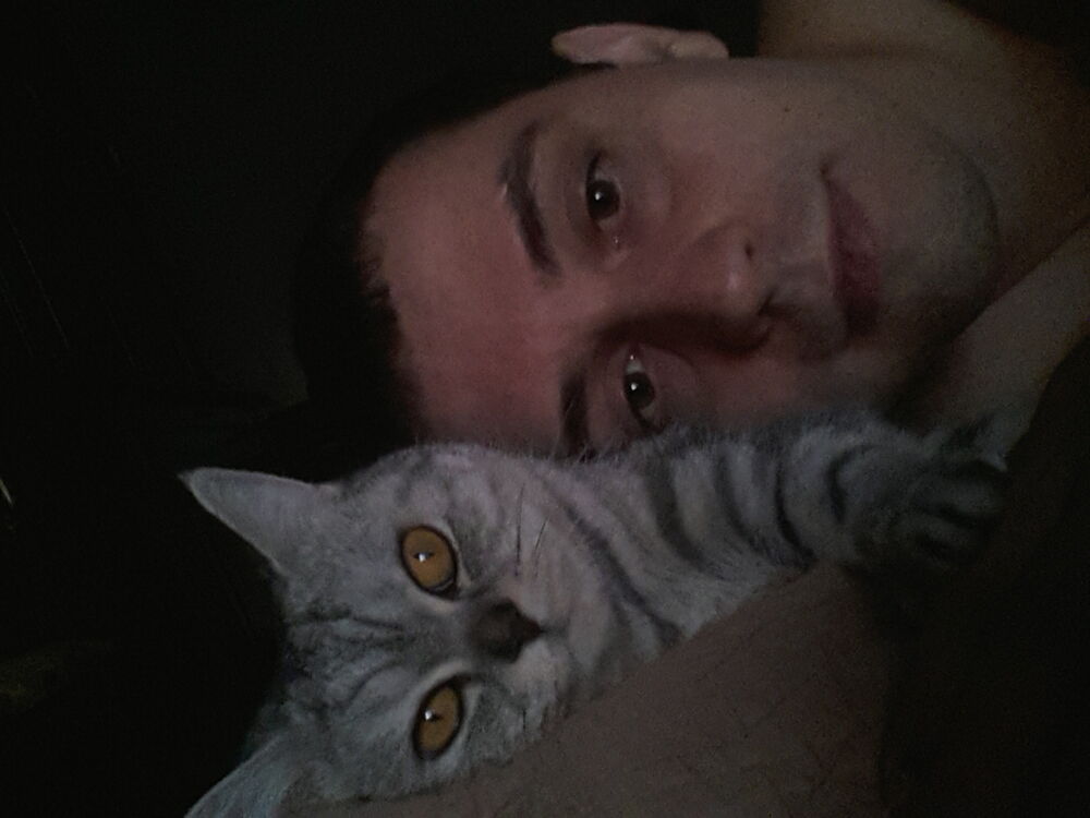 ���������� ���������� �����, ���� ������� ������, 38 ���, ������������ ��� c�������� ���������