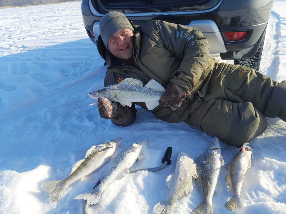 ���������� �����������, ���� ������� �����, 43 ����, ������������ ��� c�������� ���������